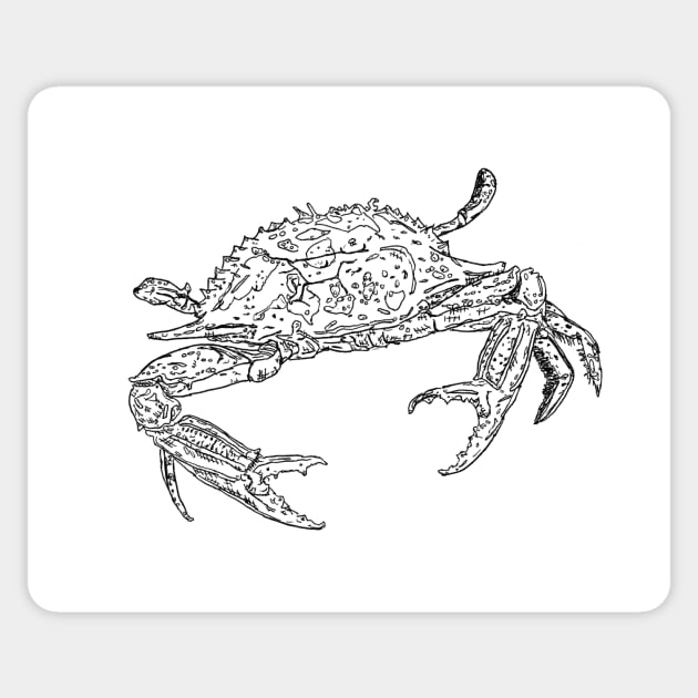 Crab - Pen and ink drawing Sticker by marianasantosart